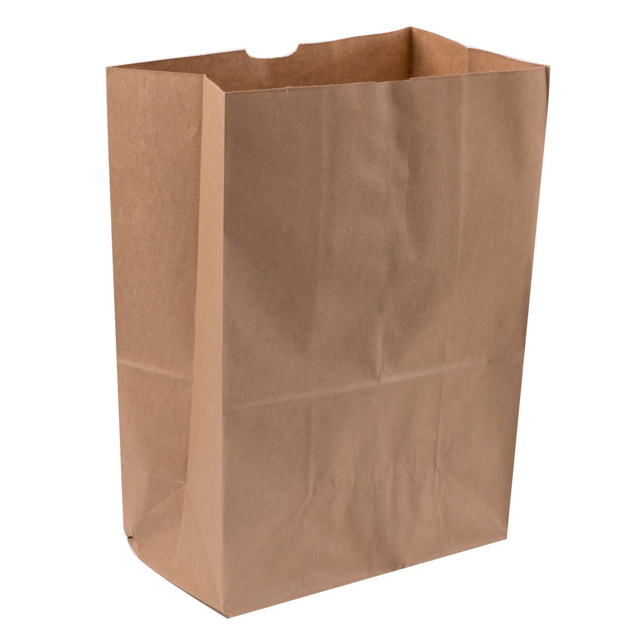 Sample DURO 1/6 Brown Paper Bags