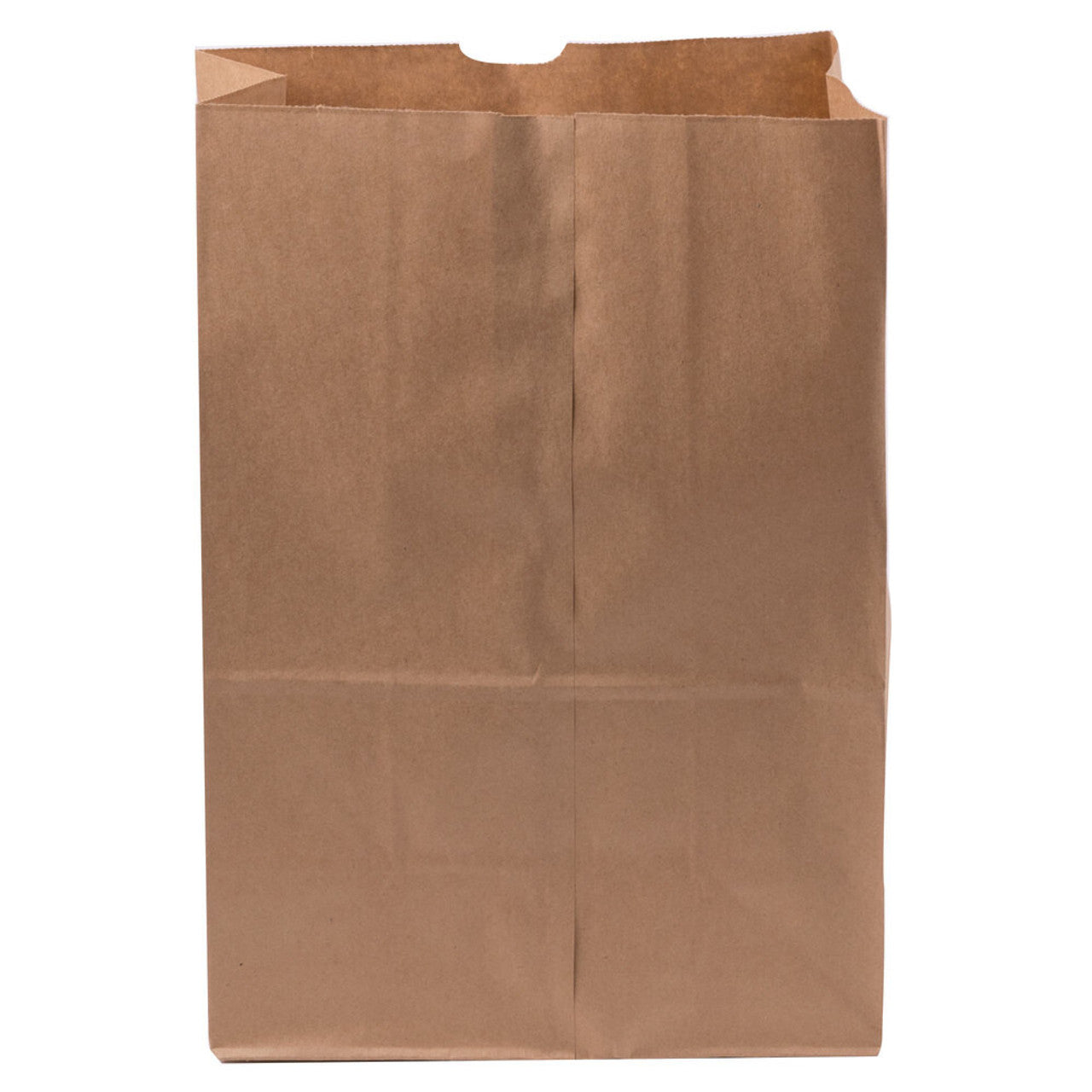 Sample DURO 1/6 Brown Paper Bags