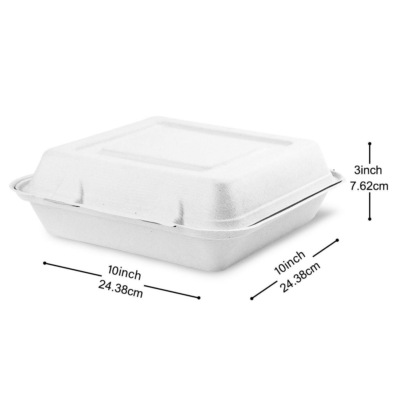 Sample 10"x10"x3" Sugarcane Clamshell Takeout Food Containers Natural White