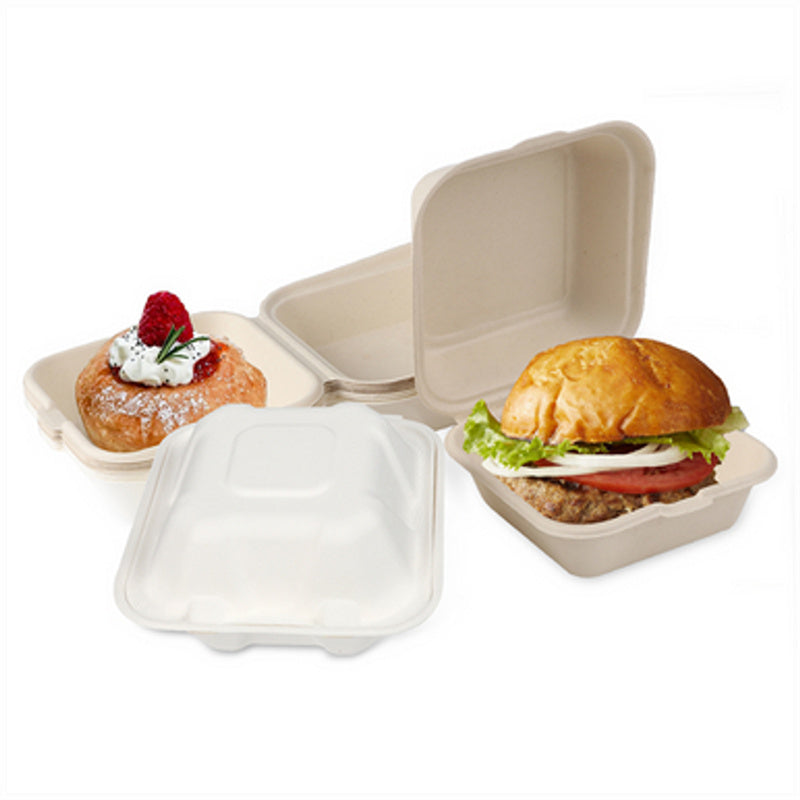 White 6x6x3 compostable clamshell containers with donut and burger takeout food biodegradable eco boxes