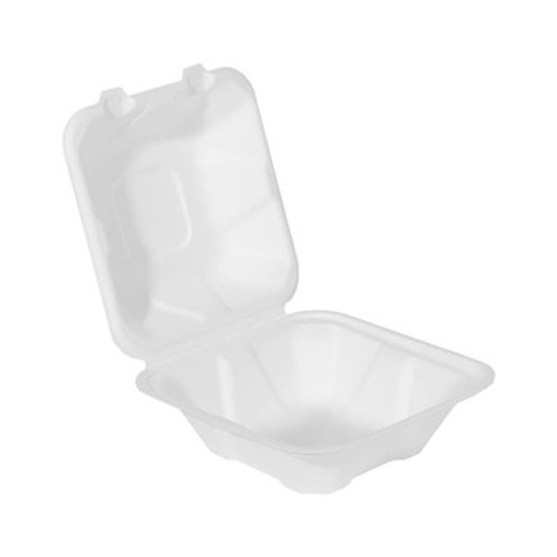 White 6x6x3 compostable clamshell takeout containers biodegradable eco friendly food packaging