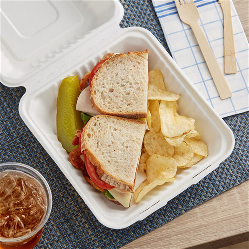 8x8x3 compostable takeout clamshell with bread and chips, white sugarcane food container