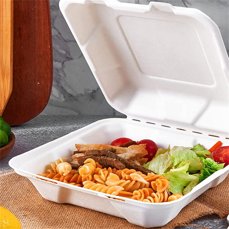 8x8x3 biodegradable clamshell takeout container with pasta salad, sustainable food packaging