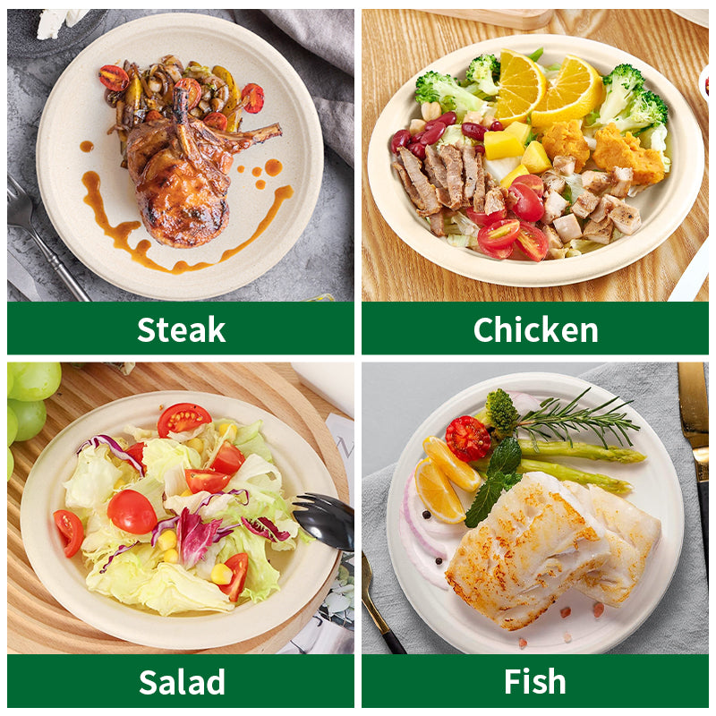 biodegradable paper plates filled with steak, chicken, salad, and fish showing four food portions
