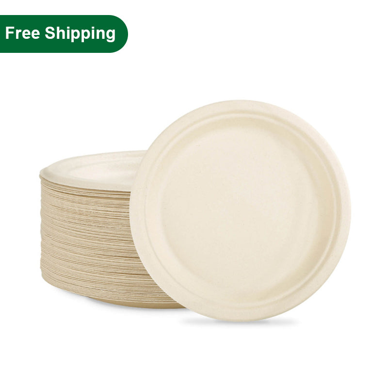 10 inch biodegradable paper plates microwavable 500 pcs with free shipping