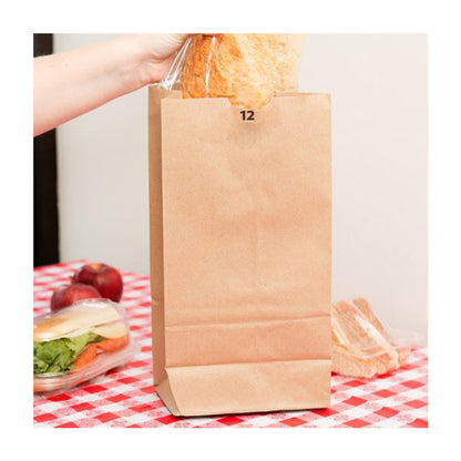DURO 12 Lb Kraft Paper Bags Wholesale 400pcs