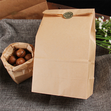 Sample 20 lb Recycled Kraft Paper Bags Pony Packaging