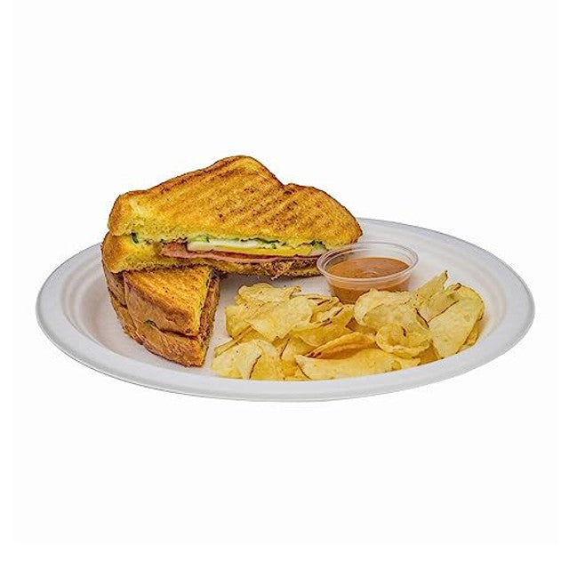 10x8 biodegradable oval plate holding sandwich chips and dipping sauce, eco friendly disposable serving plate