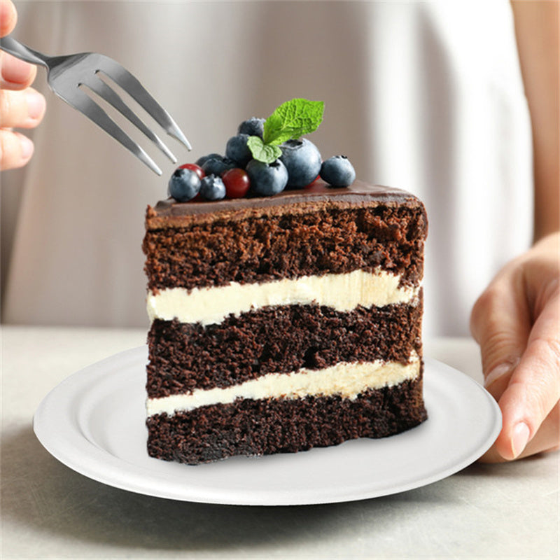 6 inch white compostable fiber plate with chocolate cake, PFAS free eco friendly disposable plate sample